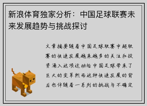 新浪体育独家分析：中国足球联赛未来发展趋势与挑战探讨